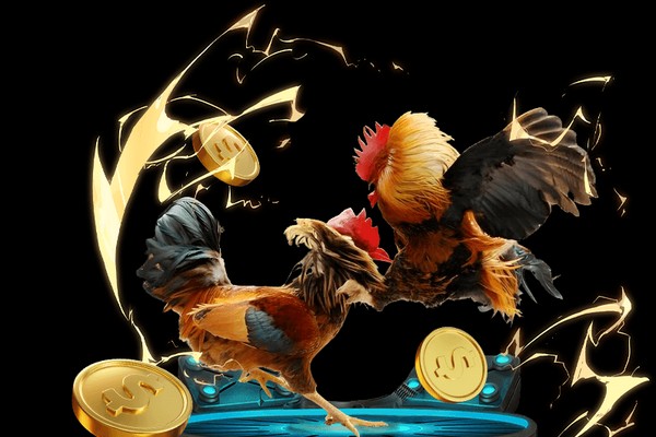 Đá gà cựa sắt